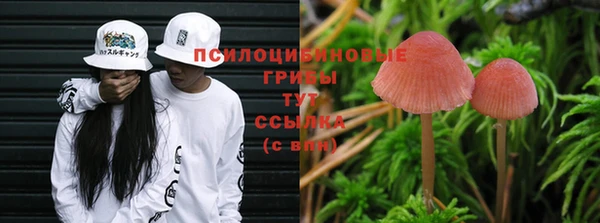 jwh Алексин