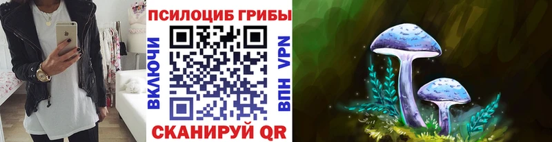 mega ССЫЛКА Жирновск Псилоцибиновые грибы Magic Shrooms где купить наркоту